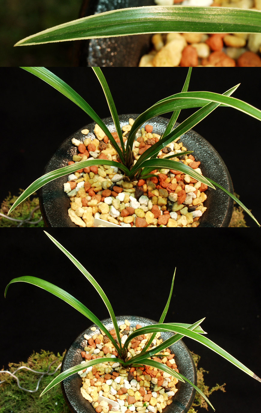 ������ ū������ �� �� �ֽ��ϴ�.