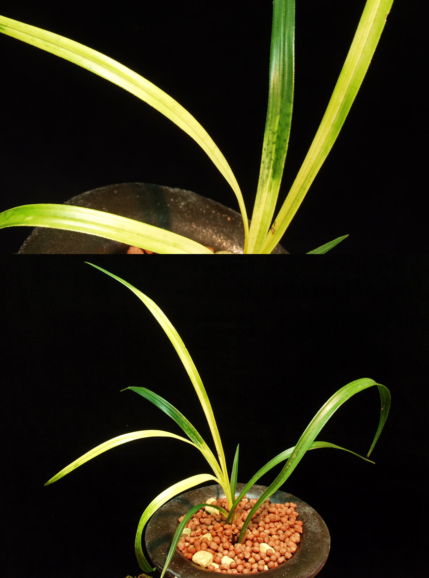 ������ ū������ �� �� �ֽ��ϴ�.