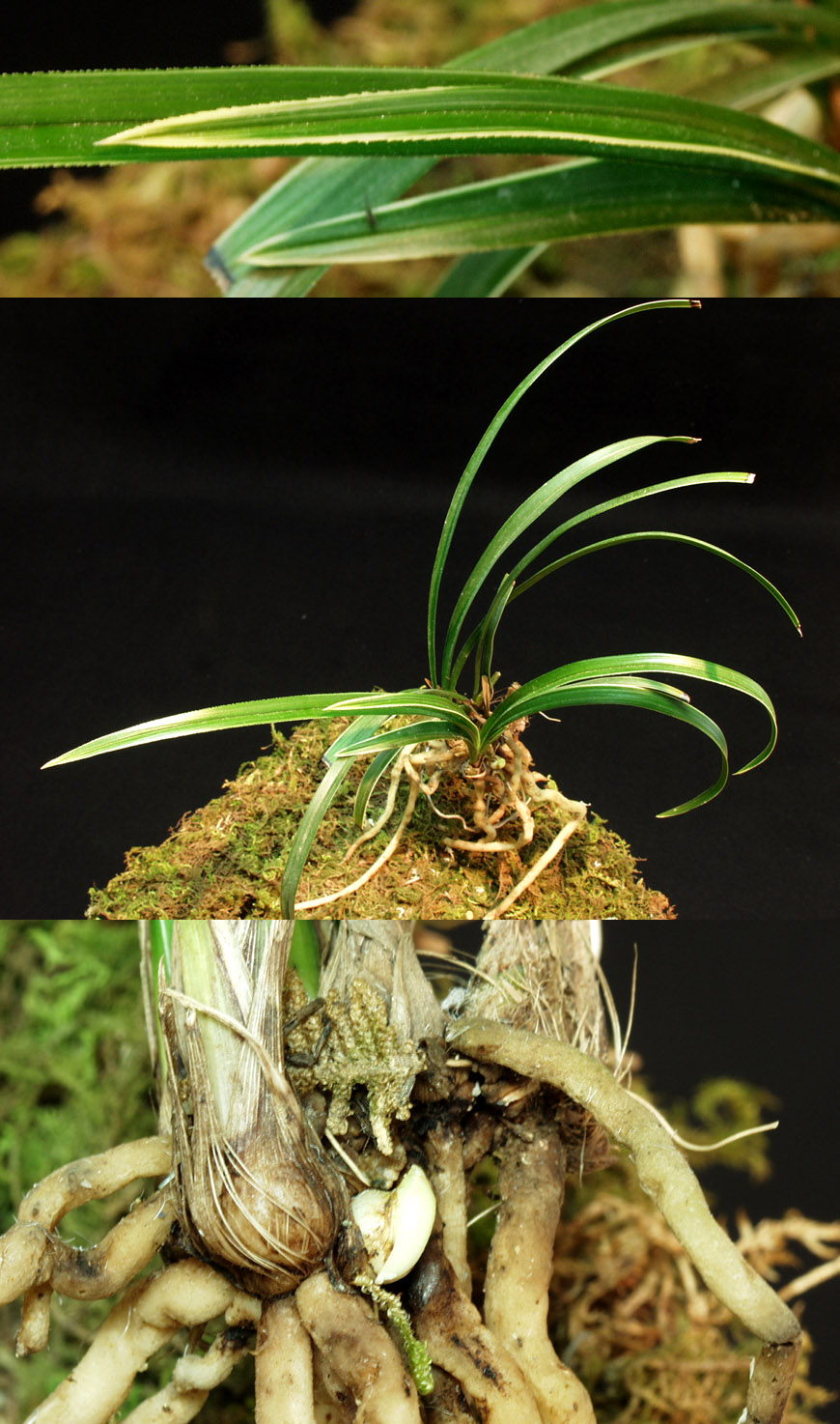 ������ ū������ �� �� �ֽ��ϴ�.