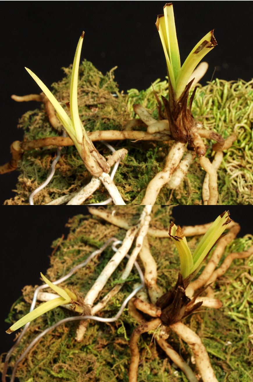 ������ ū������ �� �� �ֽ��ϴ�.