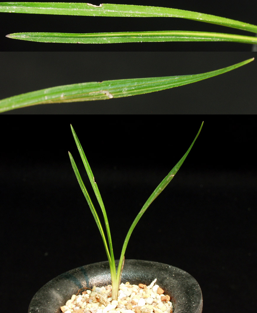 ������ ū������ �� �� �ֽ��ϴ�.