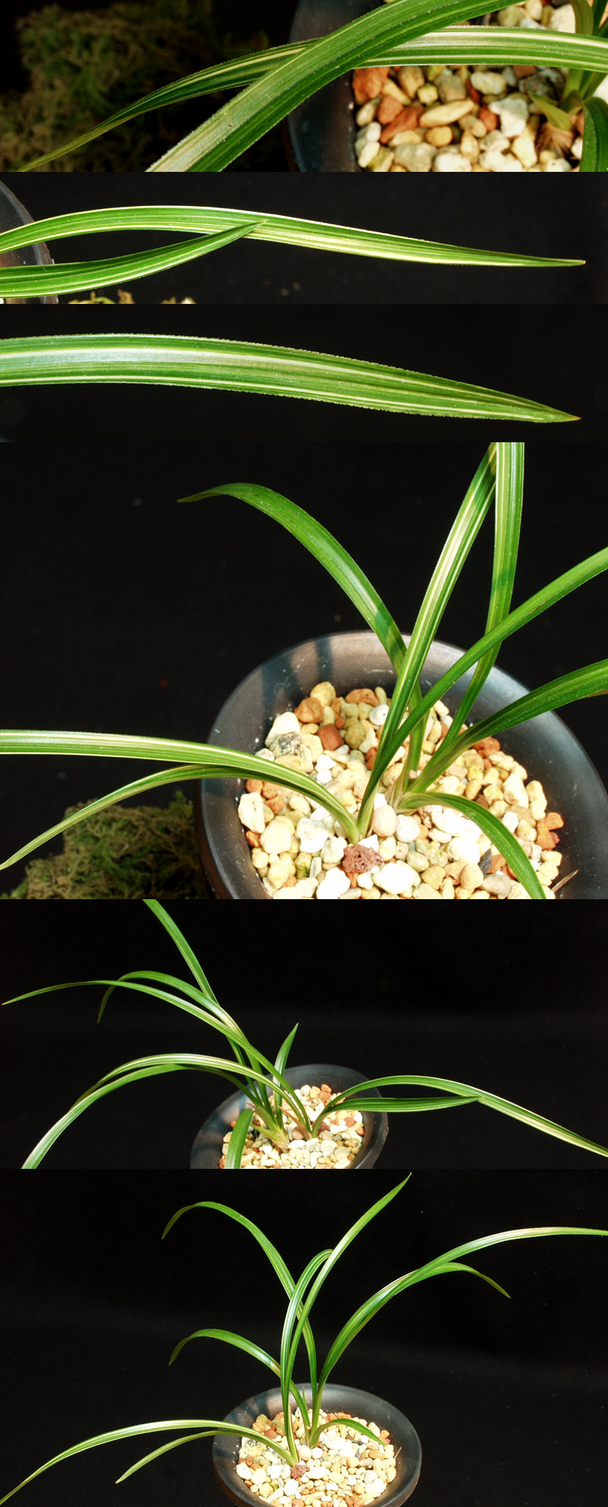 ������ ū������ �� �� �ֽ��ϴ�.