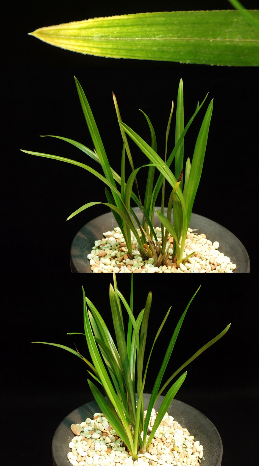 ������ ū������ �� �� �ֽ��ϴ�.