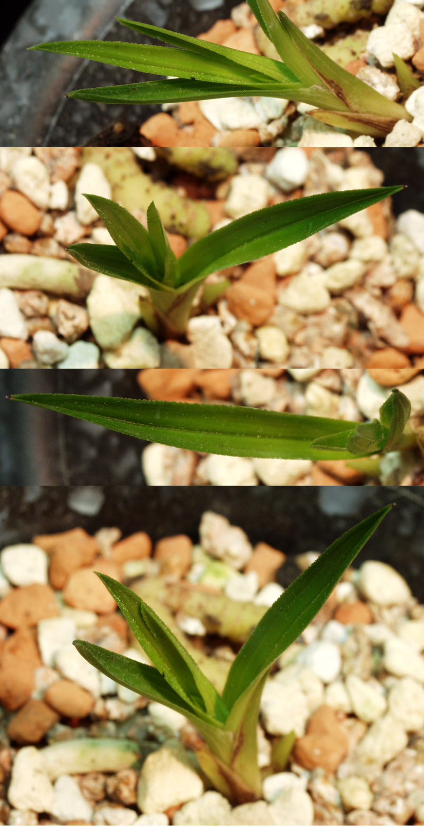 ������ ū������ �� �� �ֽ��ϴ�.