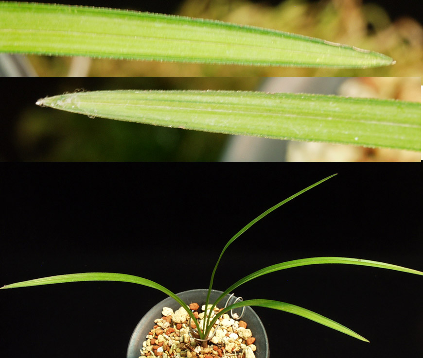 ������ ū������ �� �� �ֽ��ϴ�.