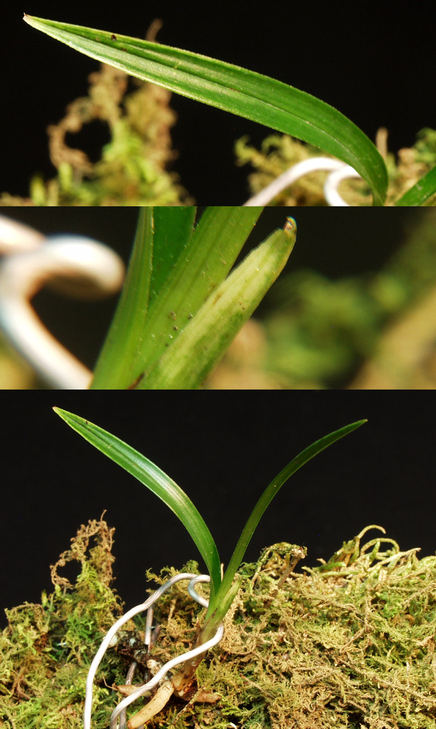 ������ ū������ �� �� �ֽ��ϴ�.