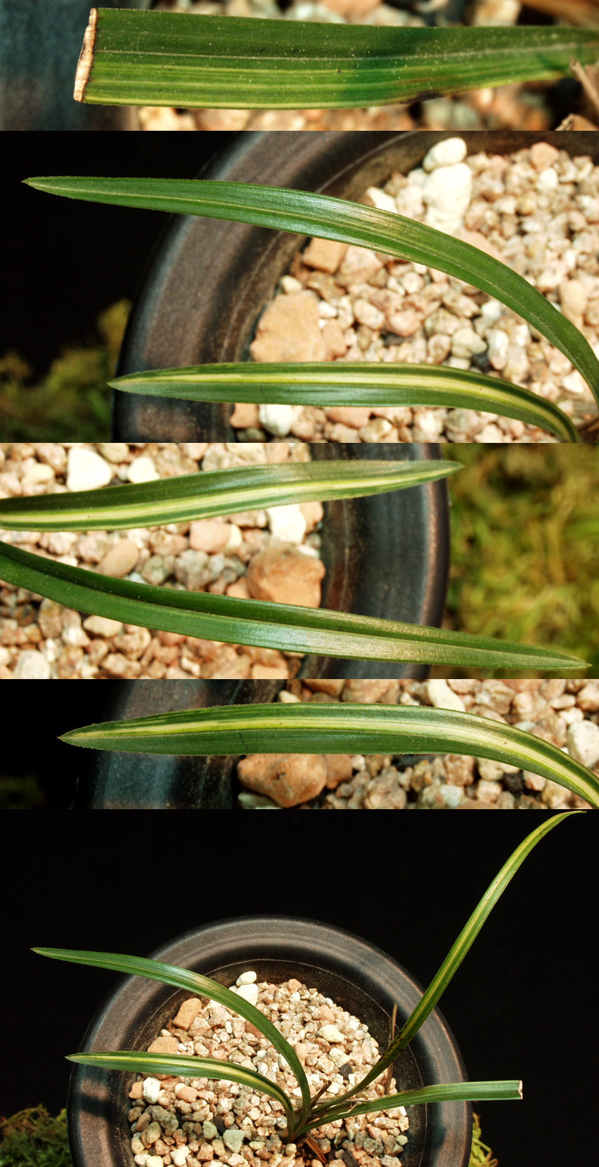 ������ ū������ �� �� �ֽ��ϴ�.