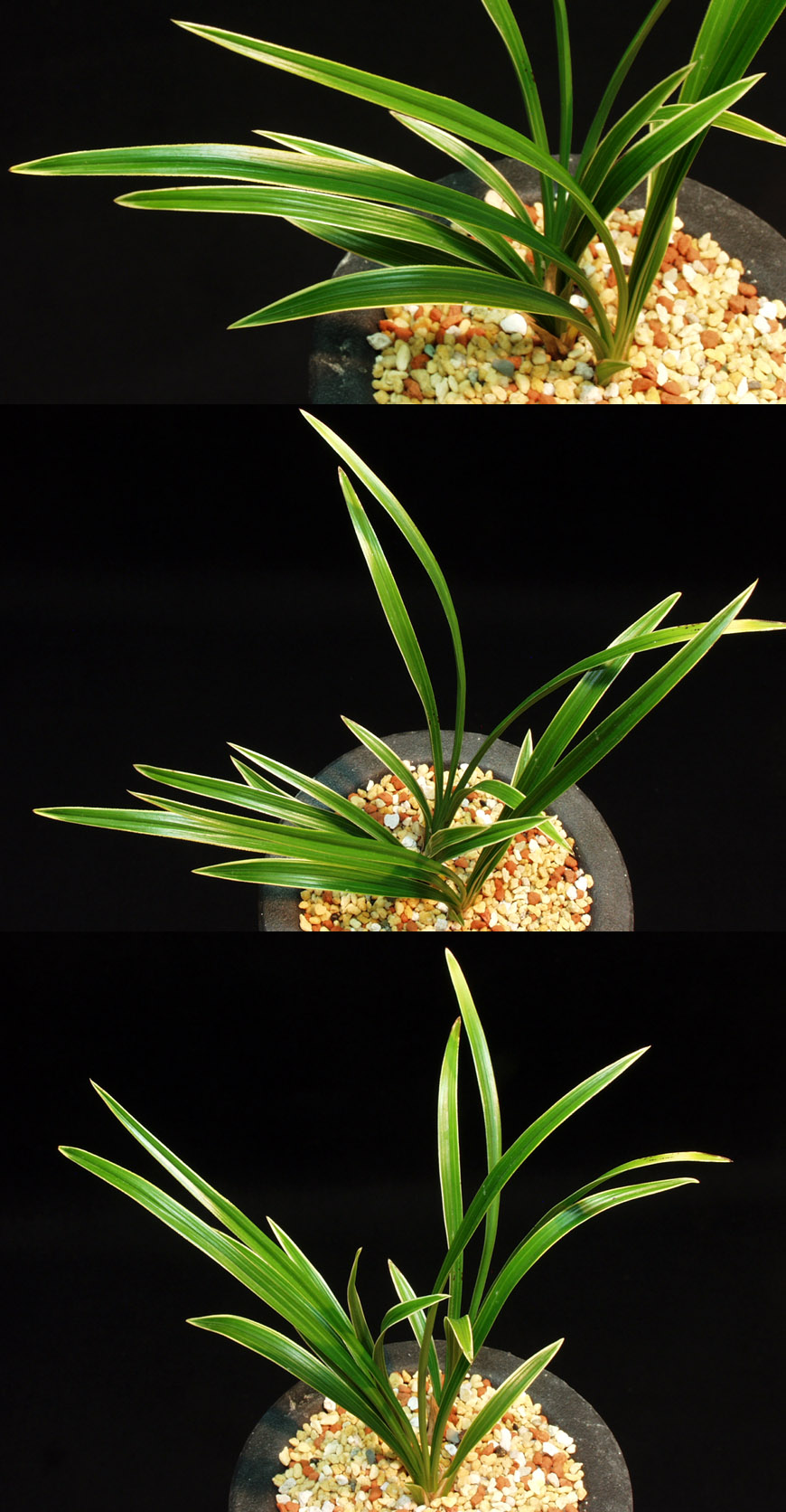 ������ ū������ �� �� �ֽ��ϴ�.