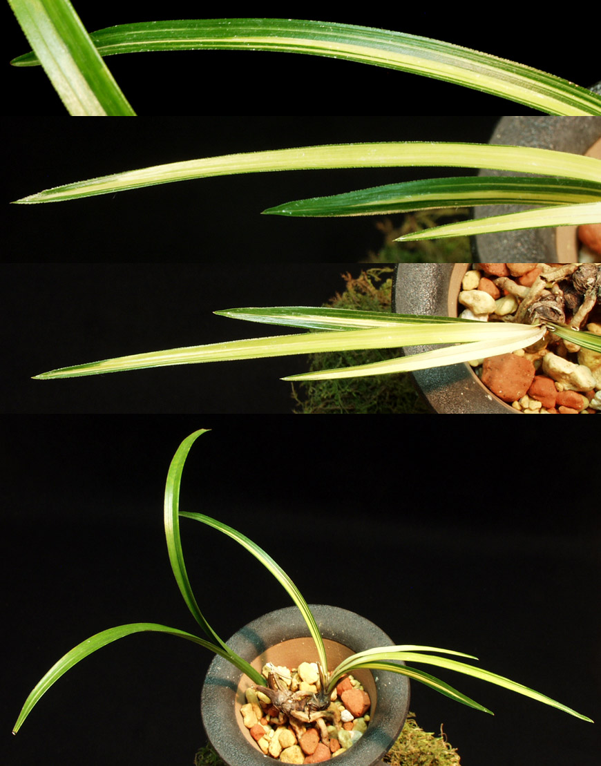 ������ ū������ �� �� �ֽ��ϴ�.