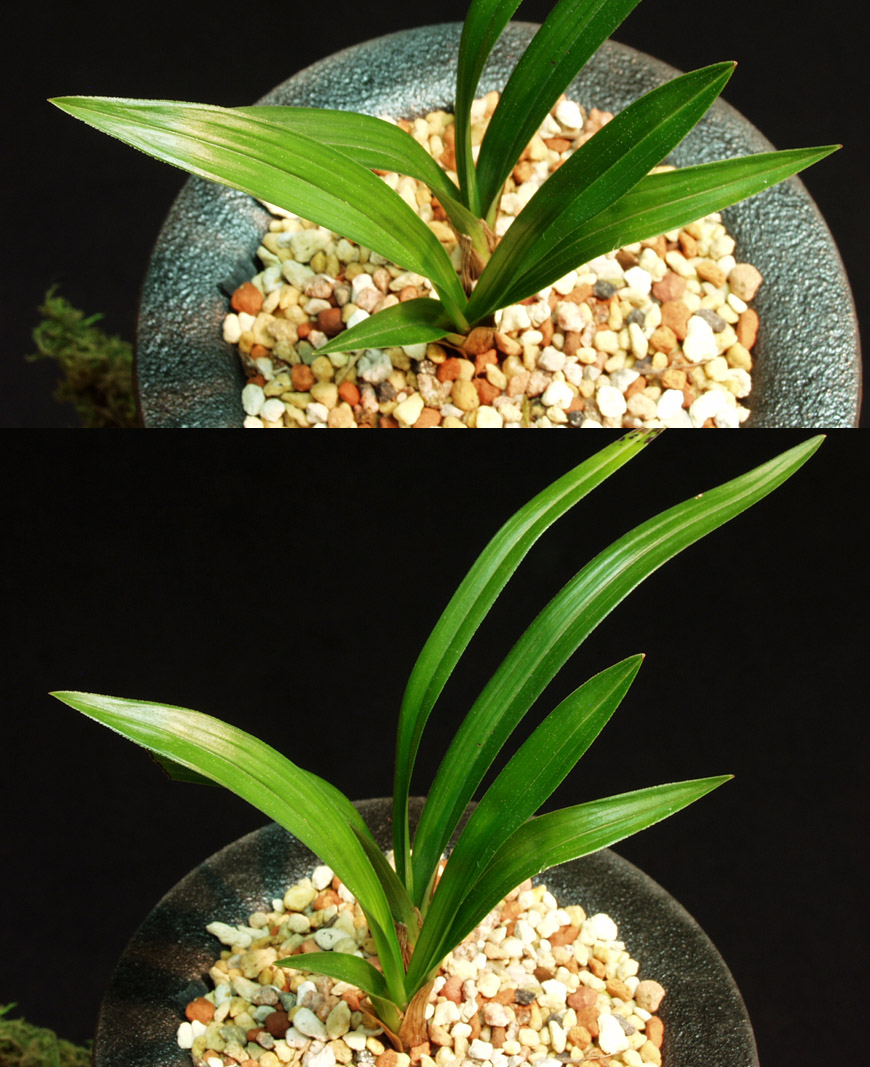 ������ ū������ �� �� �ֽ��ϴ�.