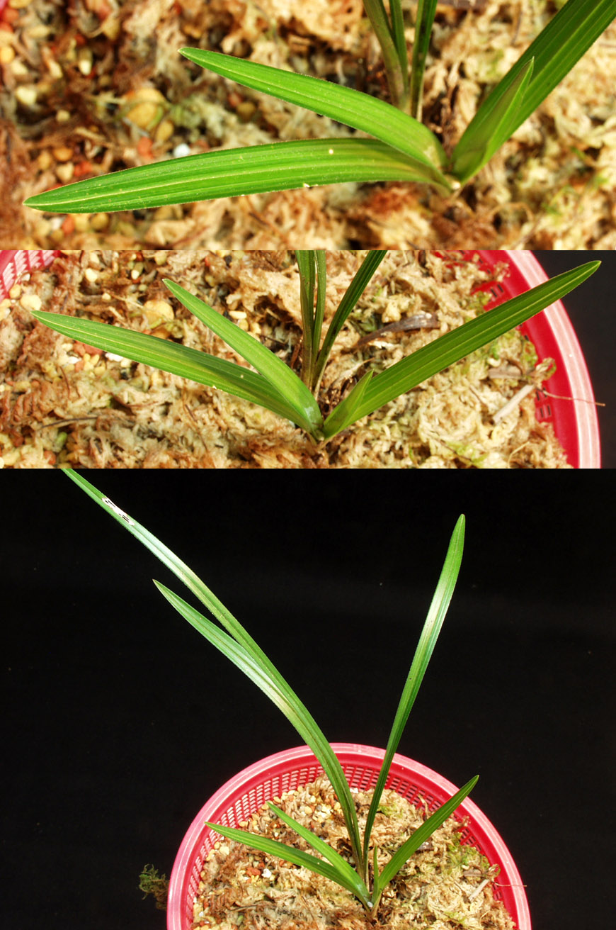 ������ ū������ �� �� �ֽ��ϴ�.