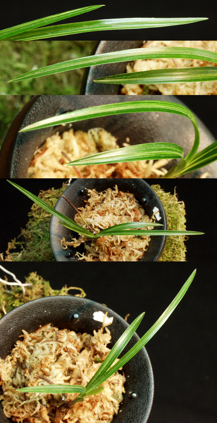 ������ ū������ �� �� �ֽ��ϴ�.