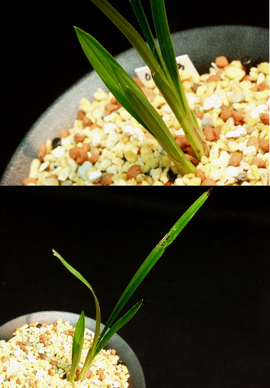 ������ ū������ �� �� �ֽ��ϴ�.