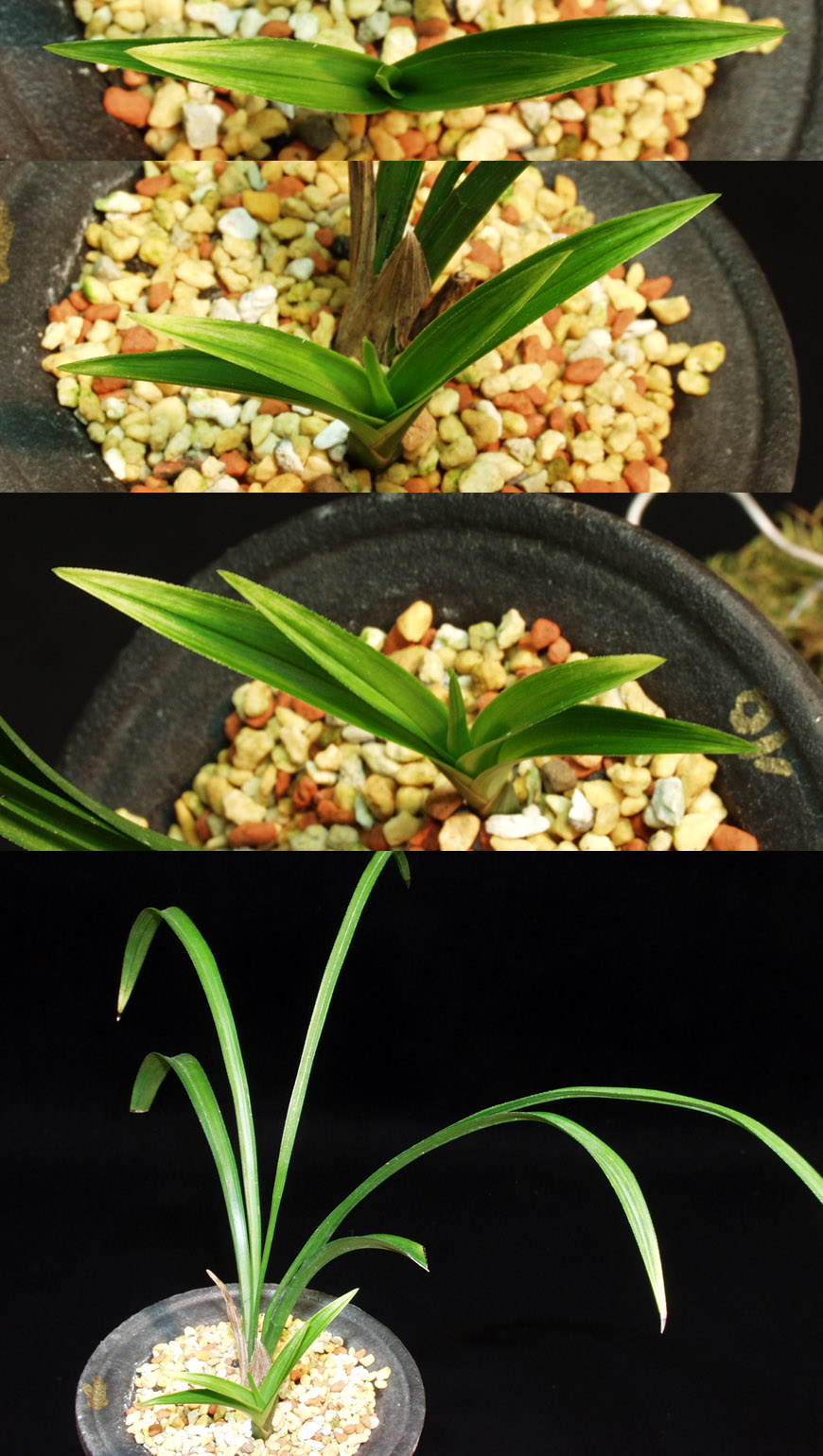 ������ ū������ �� �� �ֽ��ϴ�.