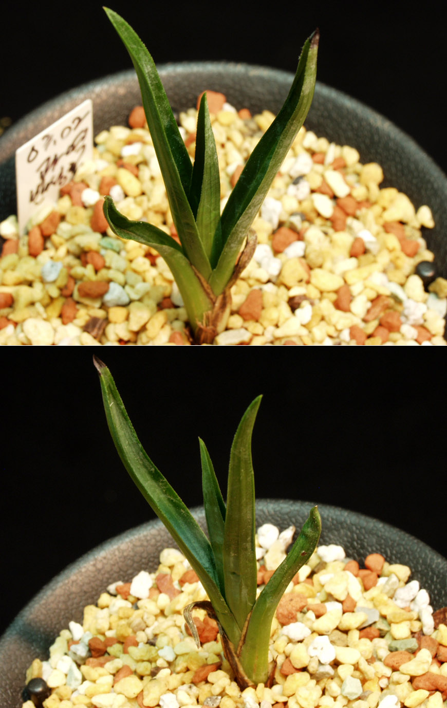 ������ ū������ �� �� �ֽ��ϴ�.