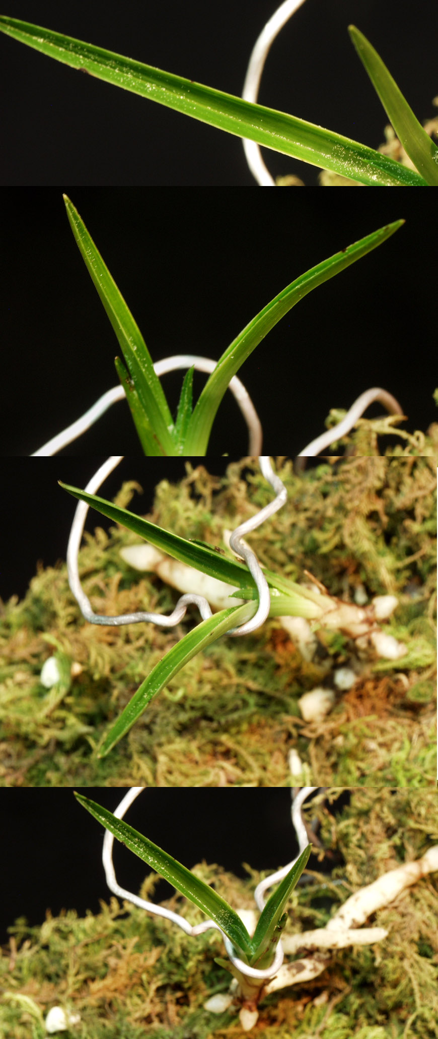 ������ ū������ �� �� �ֽ��ϴ�.