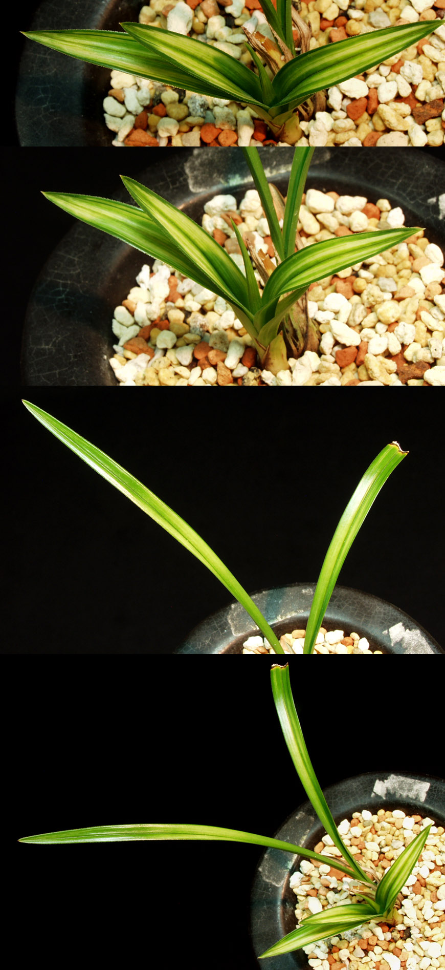 ������ ū������ �� �� �ֽ��ϴ�.