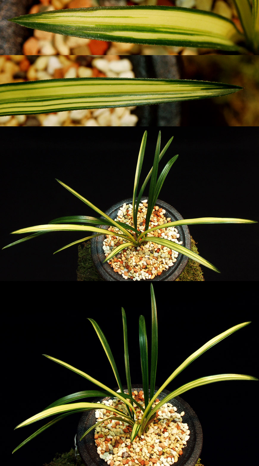 ������ ū������ �� �� �ֽ��ϴ�.