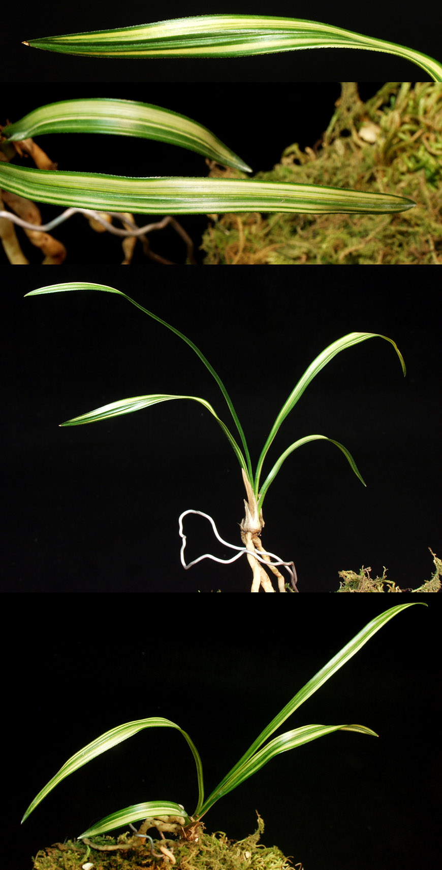 ������ ū������ �� �� �ֽ��ϴ�.