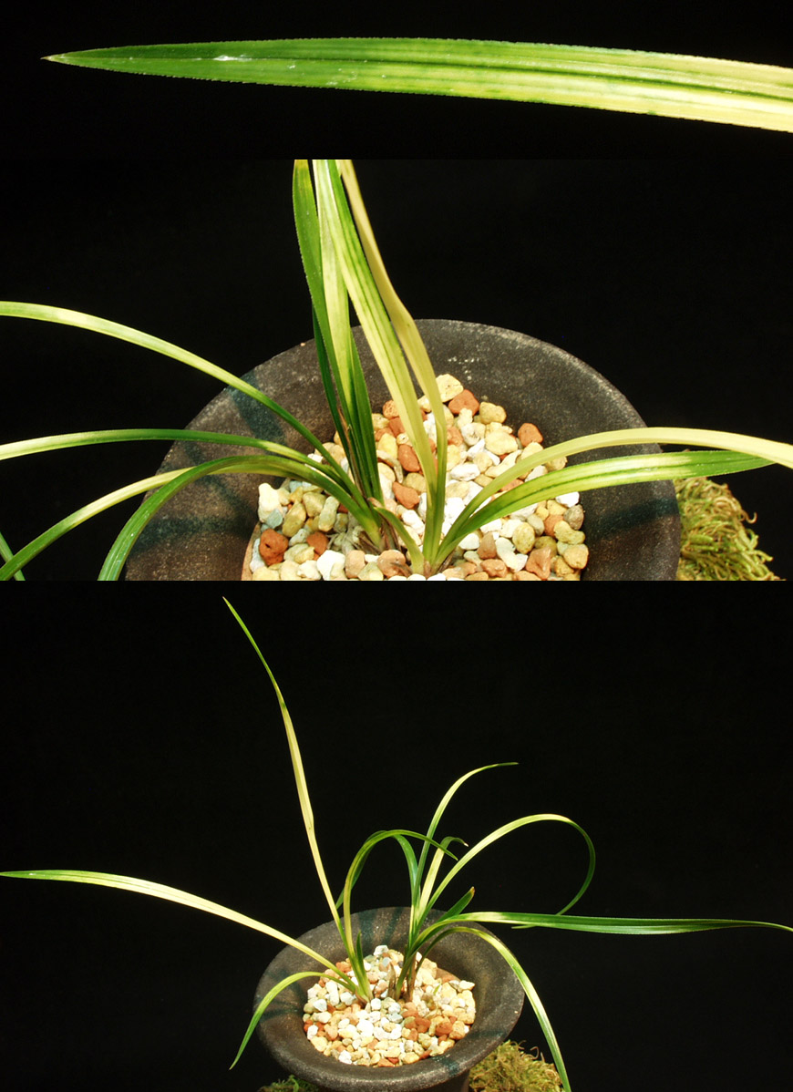 ������ ū������ �� �� �ֽ��ϴ�.