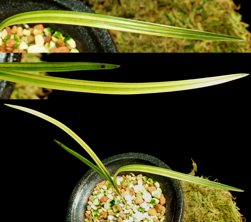 ������ ū������ �� �� �ֽ��ϴ�.