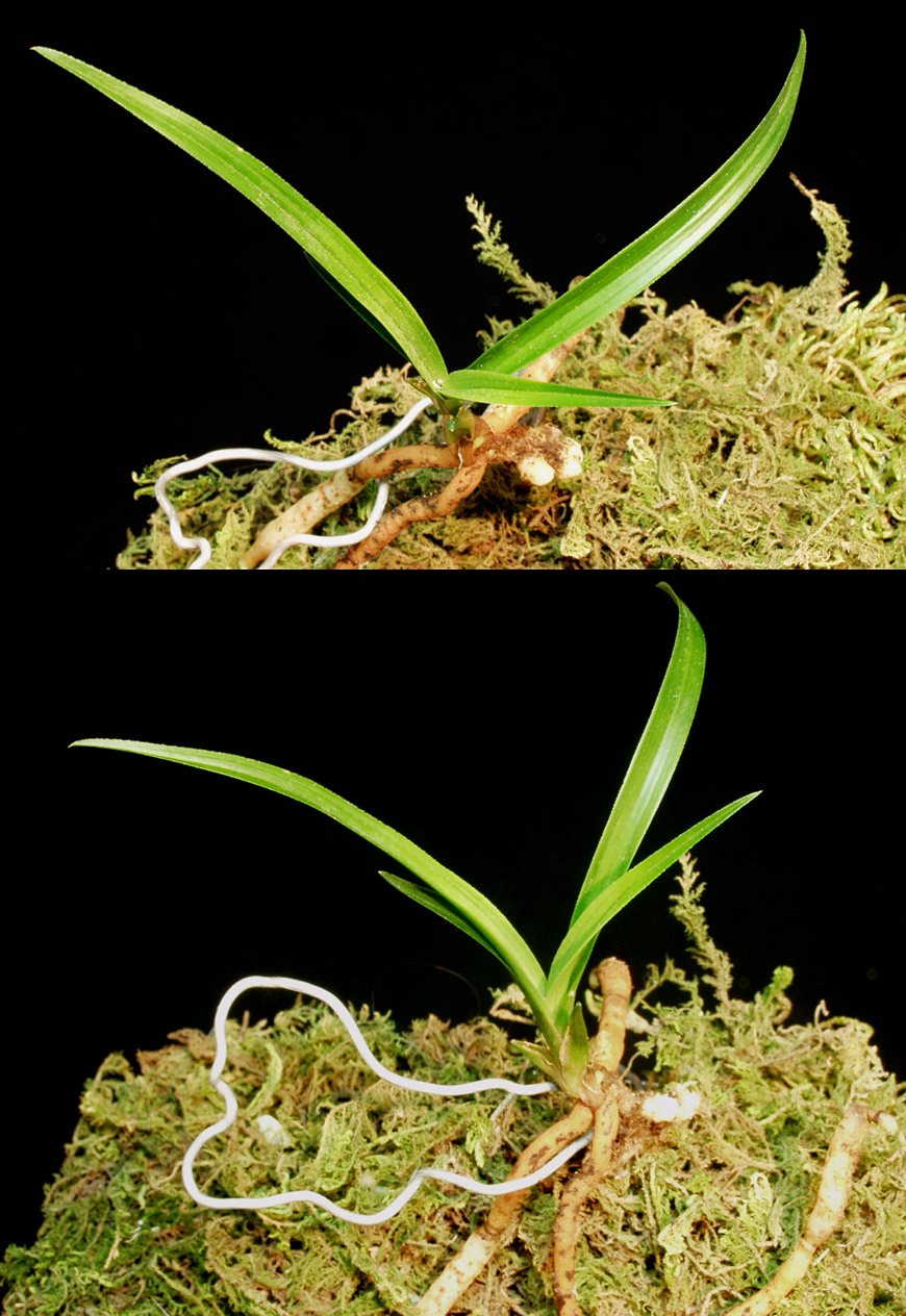 ������ ū������ �� �� �ֽ��ϴ�.