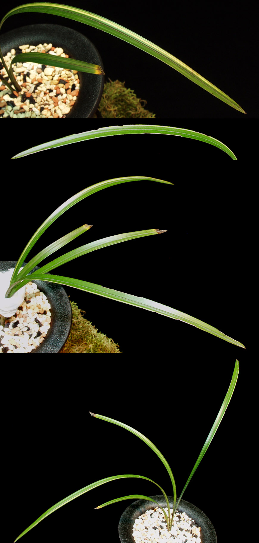 ������ ū������ �� �� �ֽ��ϴ�.