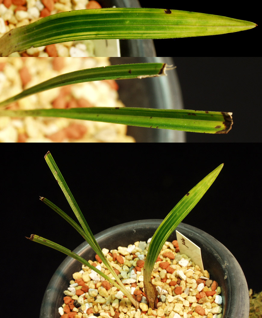 ������ ū������ �� �� �ֽ��ϴ�.