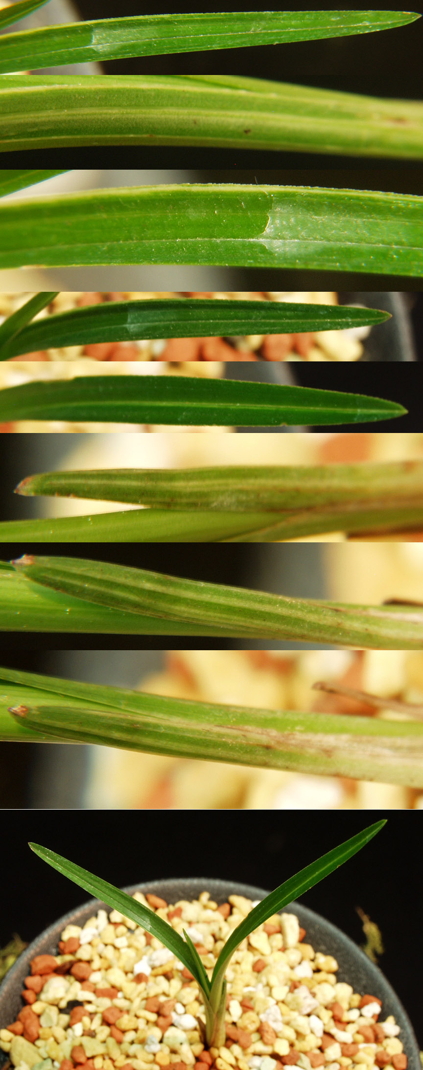 ������ ū������ �� �� �ֽ��ϴ�.