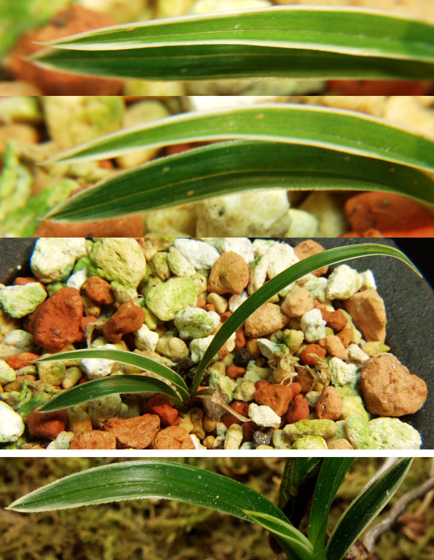 ������ ū������ �� �� �ֽ��ϴ�.