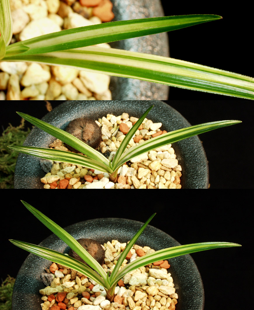 ������ ū������ �� �� �ֽ��ϴ�.