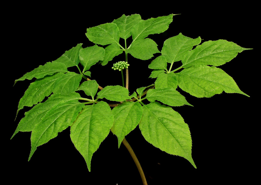 ������ ū������ �� �� �ֽ��ϴ�.