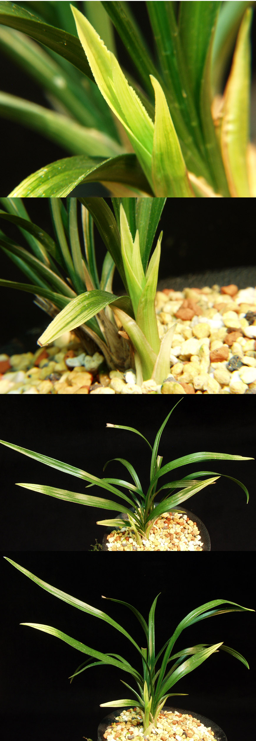 ������ ū������ �� �� �ֽ��ϴ�.