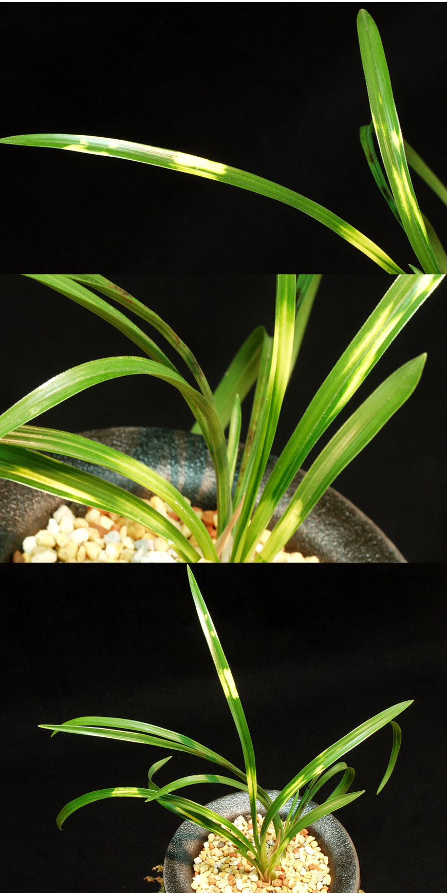 ������ ū������ �� �� �ֽ��ϴ�.