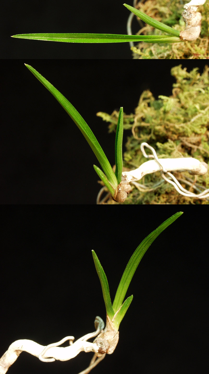 ������ ū������ �� �� �ֽ��ϴ�.