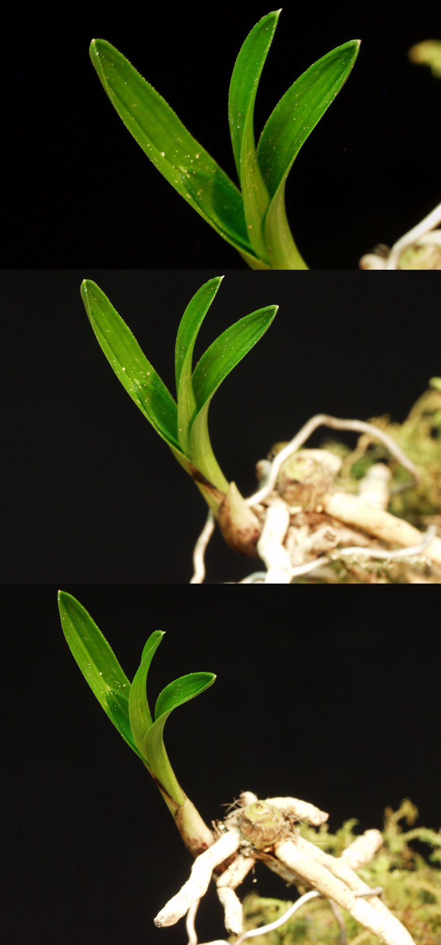 ������ ū������ �� �� �ֽ��ϴ�.