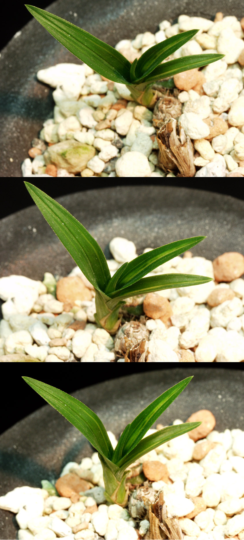 ������ ū������ �� �� �ֽ��ϴ�.