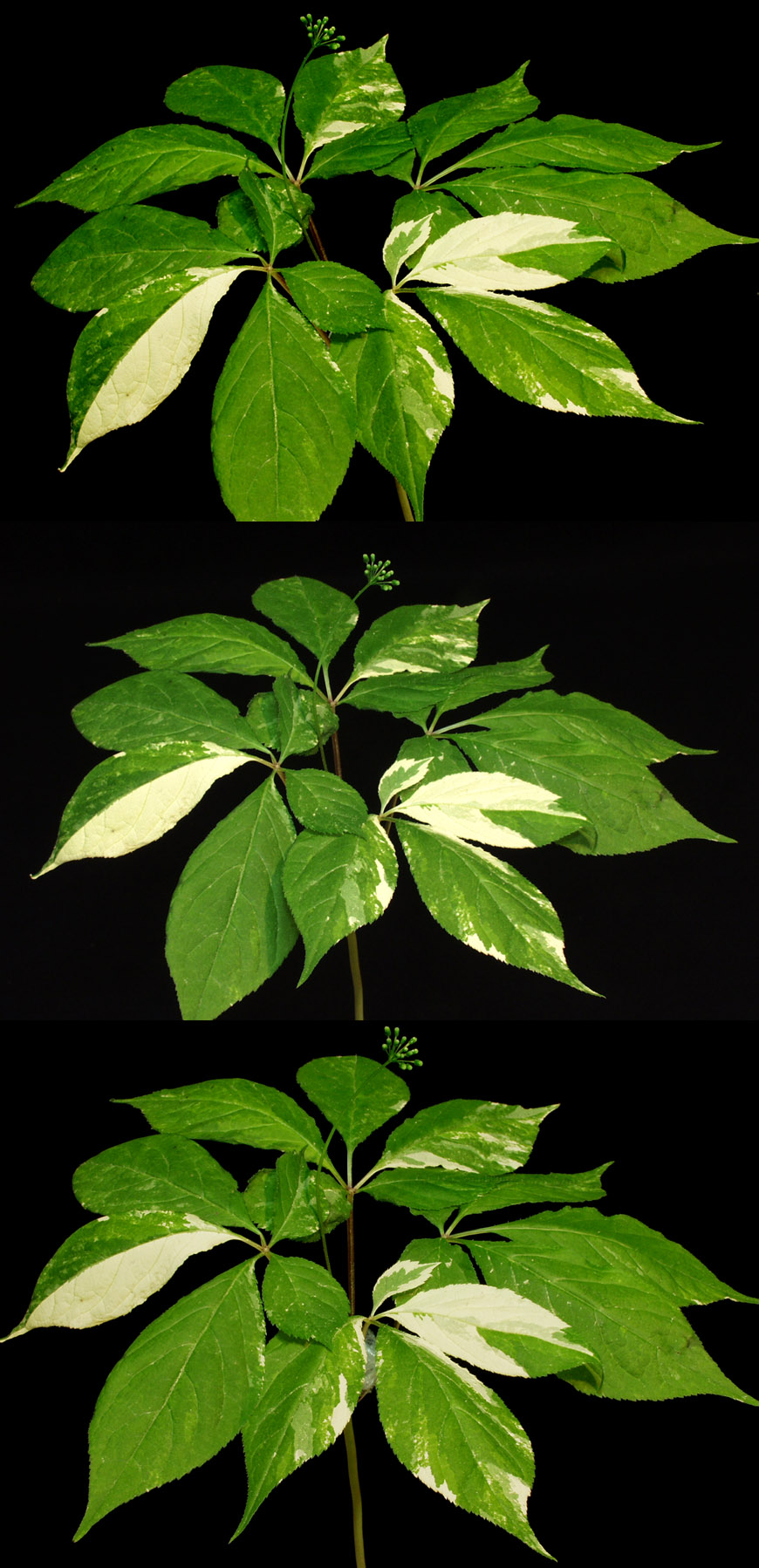 ������ ū������ �� �� �ֽ��ϴ�.