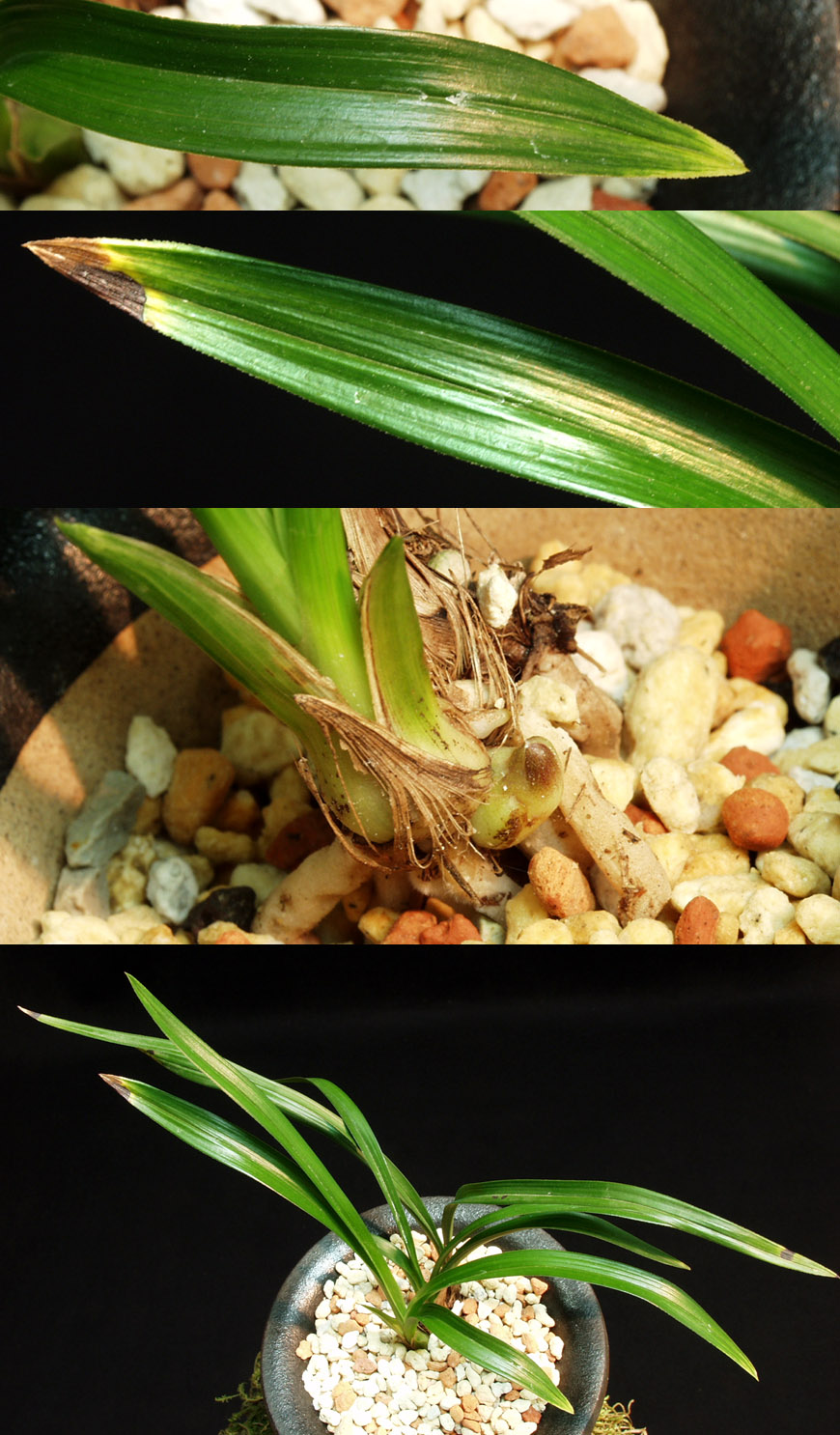 ������ ū������ �� �� �ֽ��ϴ�.