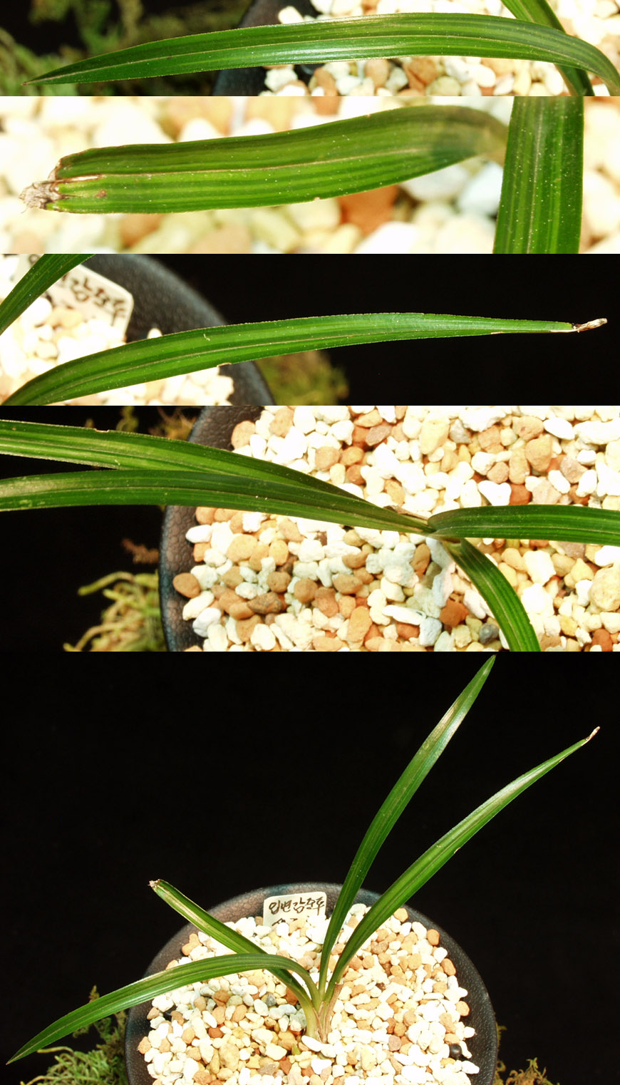 ������ ū������ �� �� �ֽ��ϴ�.