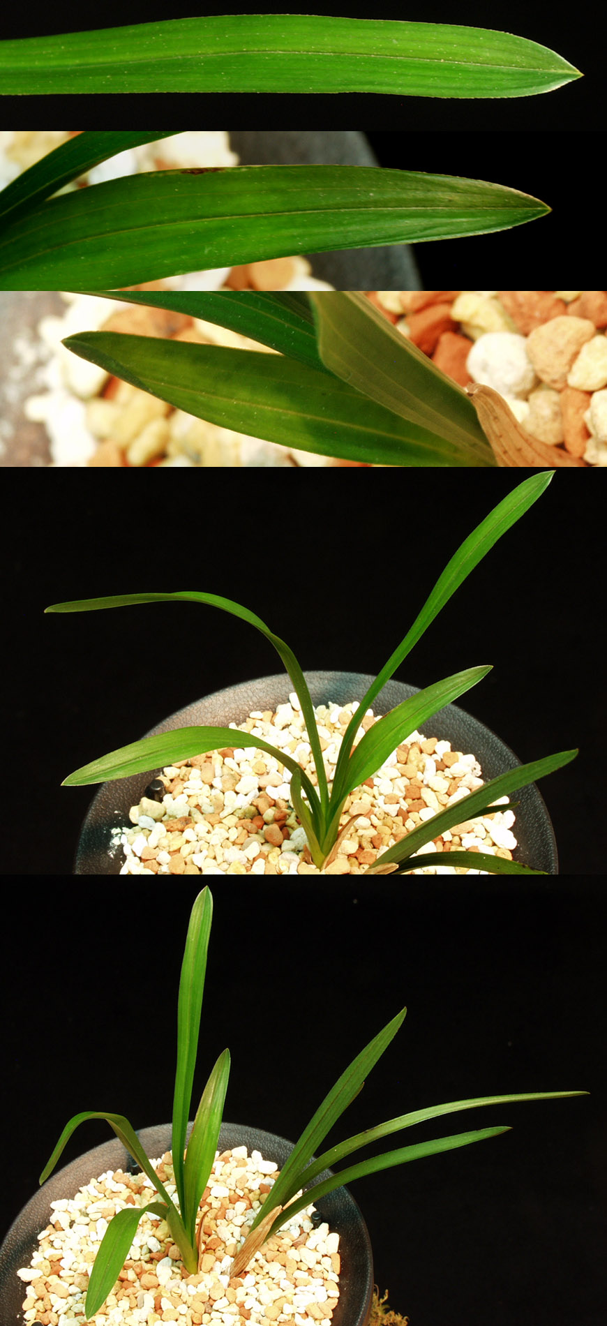 ������ ū������ �� �� �ֽ��ϴ�.