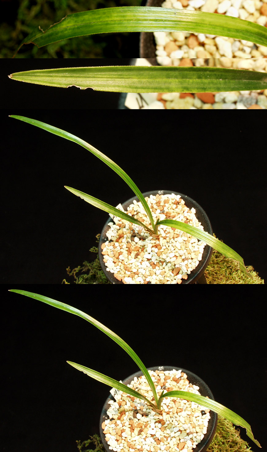 ������ ū������ �� �� �ֽ��ϴ�.