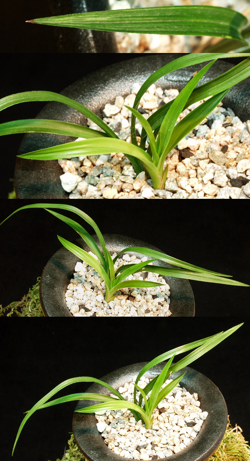 ������ ū������ �� �� �ֽ��ϴ�.