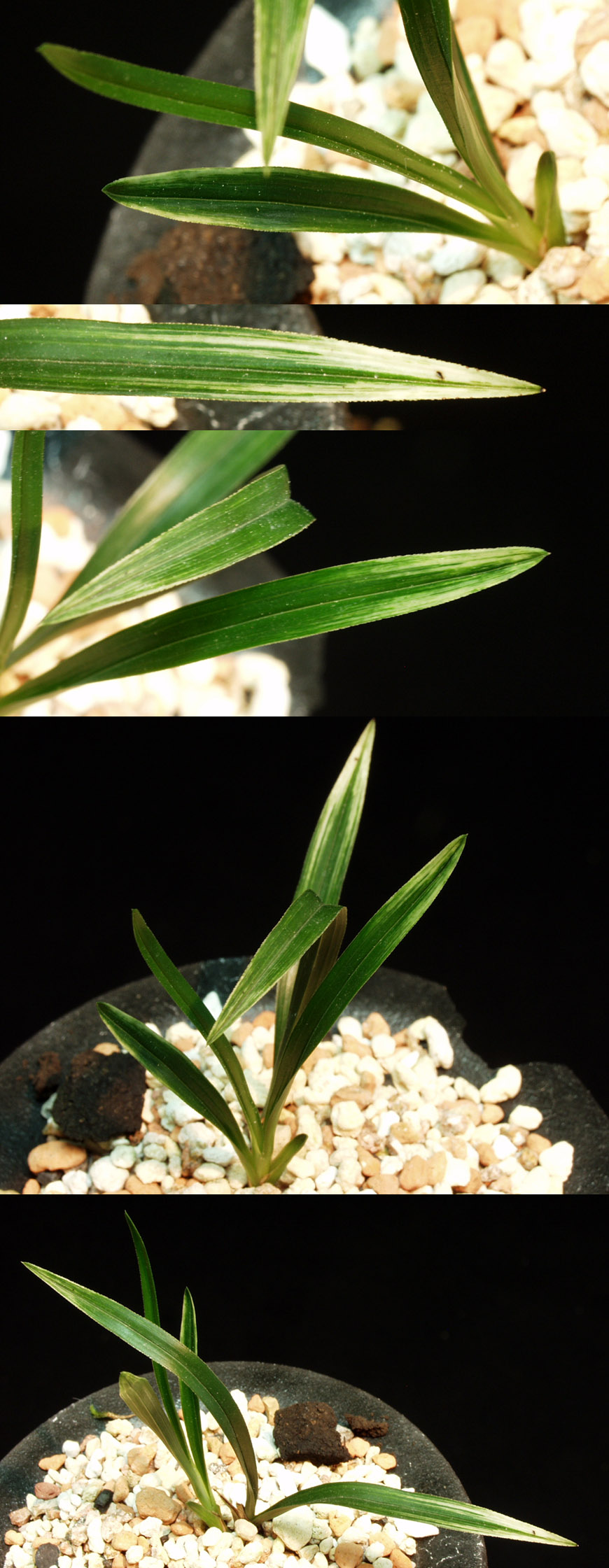 ������ ū������ �� �� �ֽ��ϴ�.