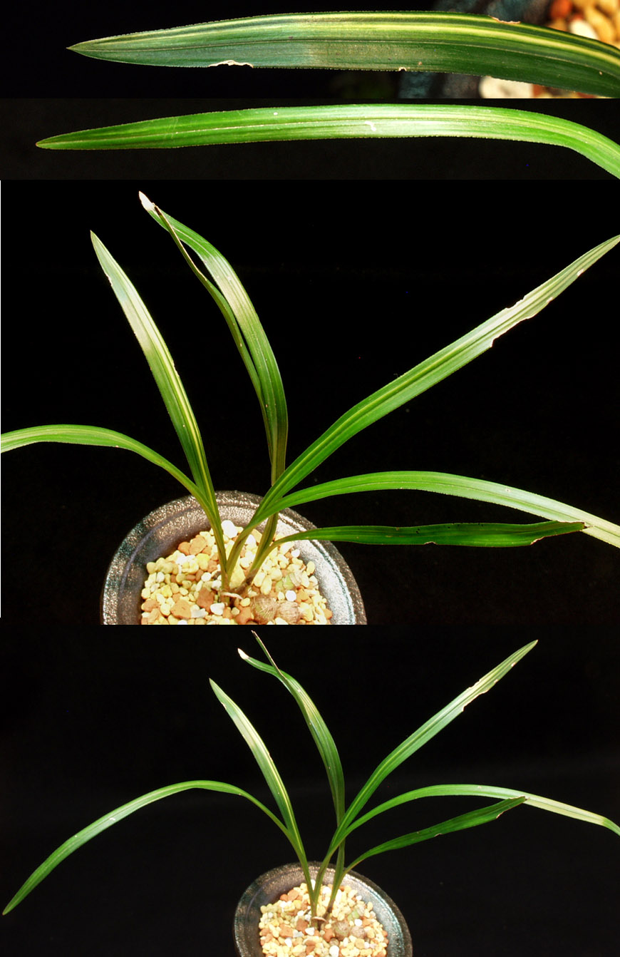 ������ ū������ �� �� �ֽ��ϴ�.