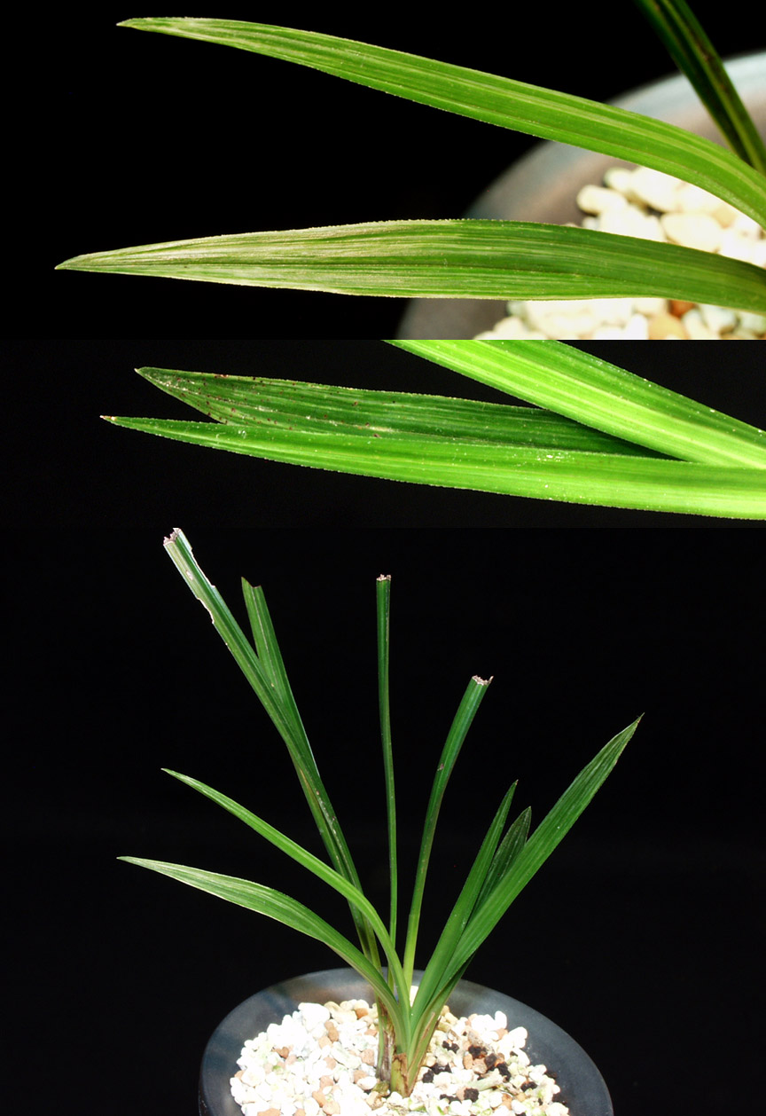 ������ ū������ �� �� �ֽ��ϴ�.