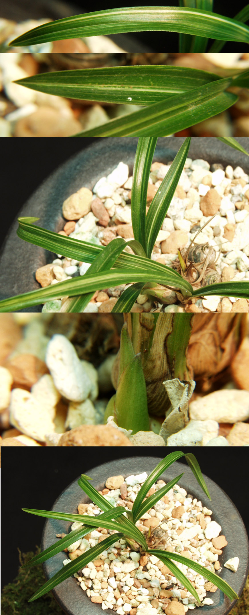 ������ ū������ �� �� �ֽ��ϴ�.