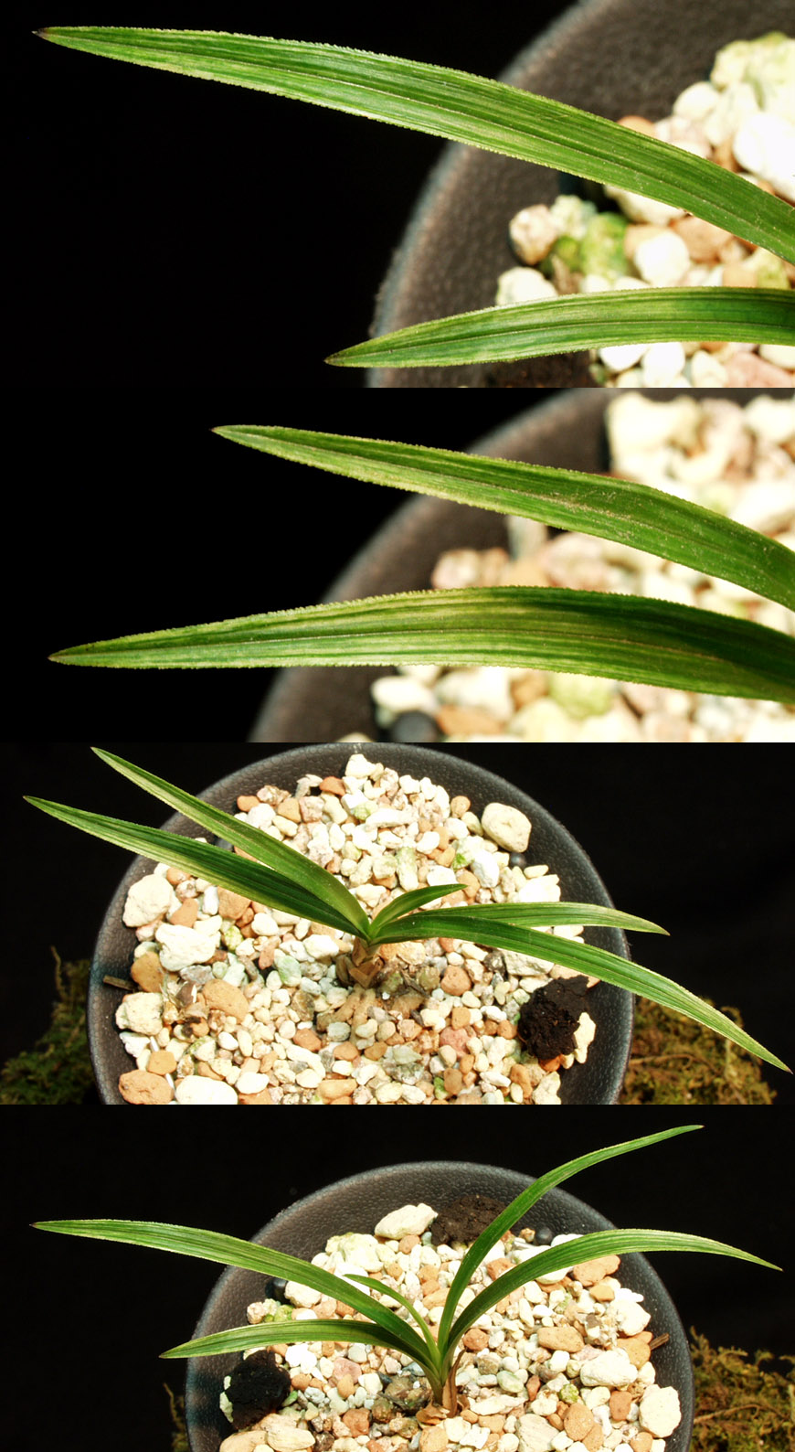 ������ ū������ �� �� �ֽ��ϴ�.