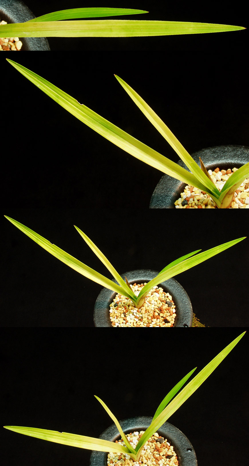 ������ ū������ �� �� �ֽ��ϴ�.