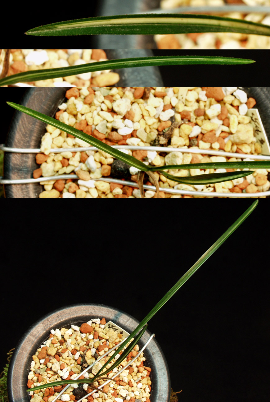 ������ ū������ �� �� �ֽ��ϴ�.